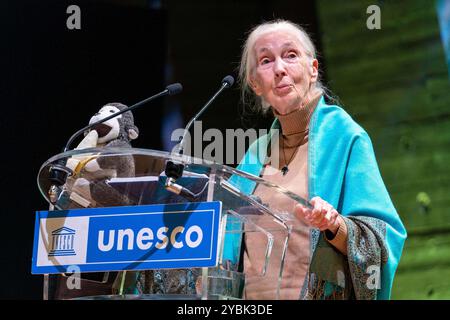 Parigi, Francia. 19 ottobre 2024. La zoologa e primatologa britannica Jane Goodall tiene una conferenza presso la Casa dell'UNESCO a Parigi il 19 ottobre 2024. Foto di Alexis Jumeau/ABACAPRESS. COM credito: Abaca Press/Alamy Live News Foto Stock