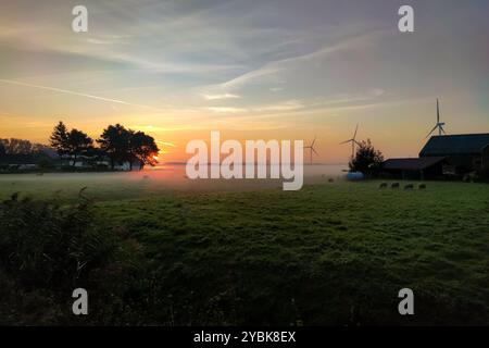 Splendida vista di bassa nebbia su un prato con pecore all'alba sul paesaggio olandese vicino a Gouda, Paesi Bassi Foto Stock