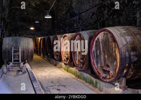 Francia, Pays de la Loire, Maine-et-Loire, Brézé, il castello di Brézé, la parte troglodita Foto Stock