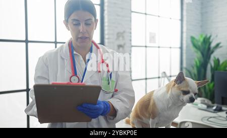 Una giovane donna ispanica veterinaria in una clinica prende appunti al chiuso mentre un cane chihuahua si siede nelle vicinanze. Foto Stock