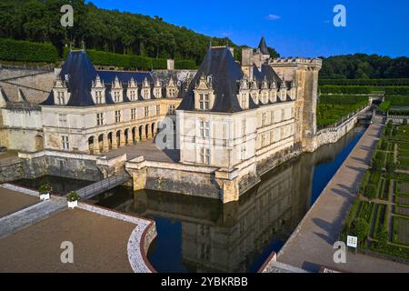 Francia, Indre-et-Loire, Villandry, Château e Giardini di Villandry, costruiti nel XVI secolo, in stile rinascimentale Foto Stock