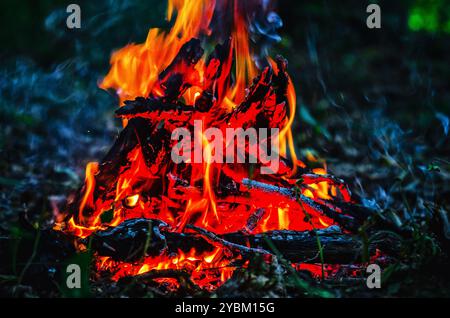 Falò di notte sull'erba. Calore accogliente. Lingue di fuoco rosso brillante contro l'oscurità. Ombre, fumo Foto Stock