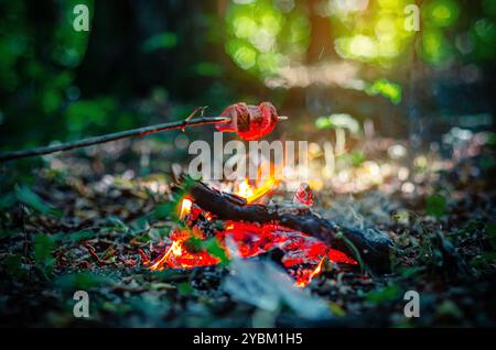 Fiamma del focolare, sopra la quale la carne viene cotta sul ramo. Picnic nella foresta. Colori magici e brillanti sfocati Foto Stock