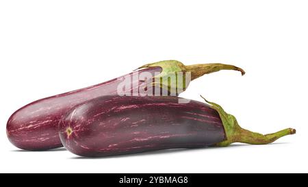 melanzane fresche o melanzane su sfondo bianco isolato, pelle lucida viola scuro con brinjal striato Foto Stock