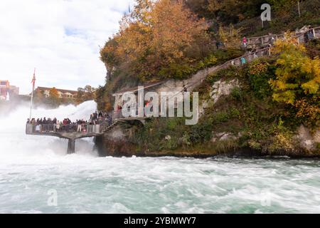 Sulla strada per le cascate del Reno. Vista dalla barca. Svizzera Foto Stock