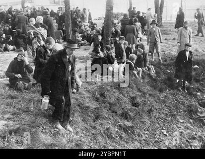 Gli ebrei ungheresi che sono stati selezionati per la morte ad Auschwitz aspettano in una radura vicino a un boschetto di alberi prima di essere condotti alle camere a gas. Gli ebrei in Ungheria erano abbastanza al sicuro fino a quando Hitler, temendo che l'Ungheria stesse cercando un accordo con gli alleati, ordinò l'invasione del paese nel marzo 1944. Tra il 15 maggio e il 9 luglio 1944, oltre 434.000 ebrei furono deportati su 147 treni, la maggior parte dei quali ad Auschwitz, dove circa il 80% fu gassato all'arrivo. I rapidi progressi delle deportazioni sono stati resi possibili da una stretta cooperazione tra le autorità ungheresi e tedesche. Foto Stock