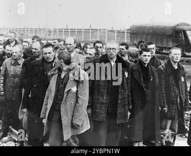 Gli ebrei ungheresi che sono stati selezionati per il lavoro forzato ad Auschwitz aspettano di essere portati in un'altra sezione del campo. Gli ebrei in Ungheria erano abbastanza al sicuro fino a quando Hitler, temendo che l'Ungheria stesse cercando un accordo con gli alleati, ordinò l'invasione del paese nel marzo 1944. Tra il 15 maggio e il 9 luglio 1944, oltre 434.000 ebrei furono deportati su 147 treni, la maggior parte dei quali ad Auschwitz, dove circa il 80% fu gassato all'arrivo. I rapidi progressi delle deportazioni sono stati resi possibili da una stretta cooperazione tra le autorità ungheresi e tedesche. Foto Stock