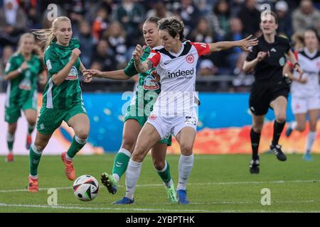 v.li.: Maja Sternad (SV Werder Brema, 11) und Sara Doorsoun (Eintracht Frankfurt, 23) im Zweikampf, Duell, Dynamik, Aktion, ACTION, SPIELSZENE, DIE DFB-RICHTLINIEN UNTERSAGEN JEGLICHE NUTZUNG VON FOTOS ALS SEQUENZBILDER UND/ODER VIDEOÄHNLICHE FOTOSTRECKEN. LE NORMATIVE DFB VIETANO QUALSIASI USO DI FOTOGRAFIE COME SEQUENZE DI IMMAGINI E/O QUASI-VIDEO., 19.10.2024, Francoforte sul meno (Deutschland), Fussball, Google Pixel Frauen-Bundesliga, Eintracht Frankfurt - SV Werder Brema Foto Stock