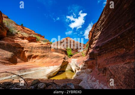 Red Reef Cliffs Harrisburg Utah durante un'escursione nell'autunno del 2024 Foto Stock