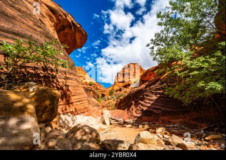 Red Reef Cliffs Harrisburg Utah durante un'escursione nell'autunno del 2024 Foto Stock