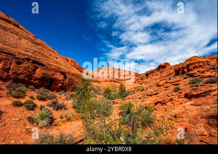 Red Reef Cliffs Harrisburg Utah durante un'escursione nell'autunno del 2024 Foto Stock