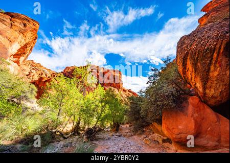 Red Reef Cliffs Harrisburg Utah durante un'escursione nell'autunno del 2024 Foto Stock