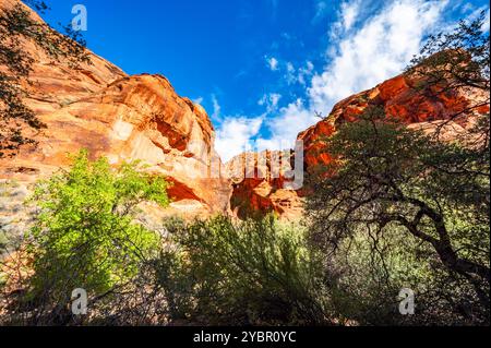 Red Reef Cliffs Harrisburg Utah durante un'escursione nell'autunno del 2024 Foto Stock