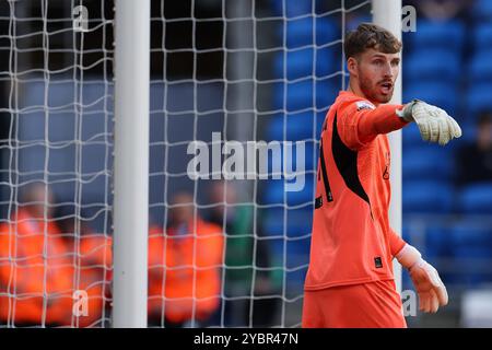 Cardiff, Regno Unito. 19 ottobre 2024. Daniel Grimshaw, il portiere di Plymouth Argyle guarda. Partita del campionato EFL Skybet, Cardiff City contro Plymouth Argyle al Cardiff City Stadium di Cardiff, Galles, sabato 19 ottobre 2024. Questa immagine può essere utilizzata solo per scopi editoriali. Solo per uso editoriale, foto di Andrew Orchard/Andrew Orchard fotografia sportiva/Alamy Live news credito: Andrew Orchard fotografia sportiva/Alamy Live News Foto Stock