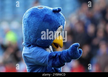 Cardiff, Regno Unito. 19 ottobre 2024. La mascotte cittadina di Cardiff Bartley the Bluebird festeggia dopo la partita. Partita del campionato EFL Skybet, Cardiff City contro Plymouth Argyle al Cardiff City Stadium di Cardiff, Galles, sabato 19 ottobre 2024. Questa immagine può essere utilizzata solo per scopi editoriali. Solo per uso editoriale, foto di Andrew Orchard/Andrew Orchard fotografia sportiva/Alamy Live news credito: Andrew Orchard fotografia sportiva/Alamy Live News Foto Stock