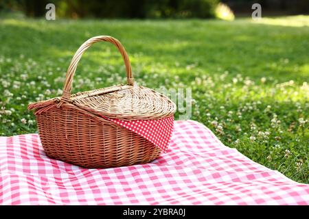 Un cestino da picnic in vimini con tovagliolo a scacchi e coperta sull'erba verde. Spazio per il testo Foto Stock