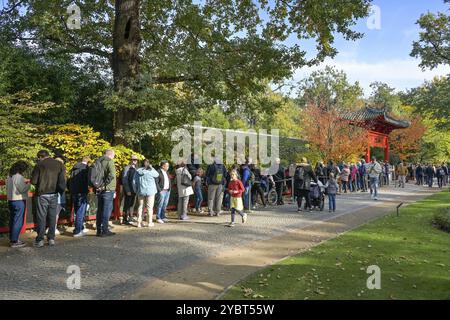 18.10.2024. Lunga fila di persone davanti al Panda Garden per vedere i panda appena nati, Zoologischer Garten, Tiergarten, Mitte, Berlino, Germania, Euro Foto Stock