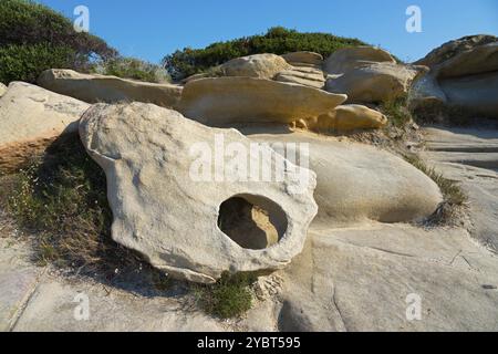 Formazioni rocciose erose su una costa con piante e cielo limpido sullo sfondo, spiaggia di Karidi, Karydi, Vourvourou, Sithonia, Halkidiki, Mace centrale Foto Stock