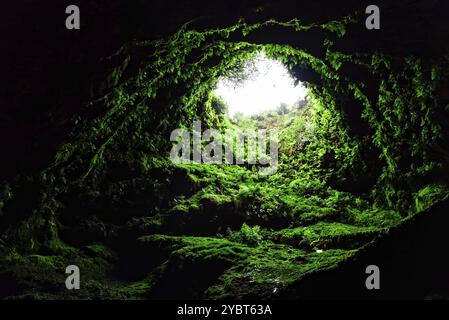 Algar do Carvao o Caverna di carbone nell'isola di Terceira, Azzorre, Portogallo. Si tratta di un antico tubo di lava o di una bocca vulcanica situata nella parte centrale del Foto Stock