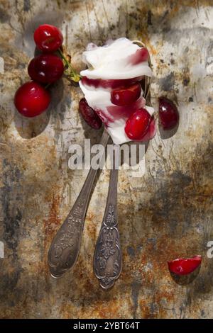 Gelato artigianale a base di panna e ciliegie Foto Stock