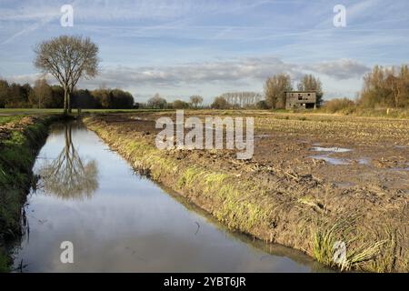 Il vecchio capannone lungo il fiume Giessen vicino Hoornaar nella regione olandese Alblasserwaard Foto Stock