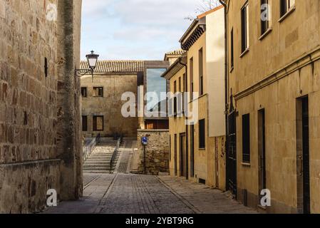 Vista dell'affascinante strada nel centro storico di Salamanca, Castilla Leon, Spagna, Europa Foto Stock