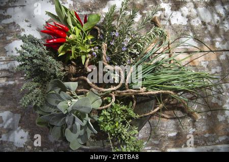 Prodotto del giardino, mazzo di erbe essenziali per la cucina mediterranea Foto Stock