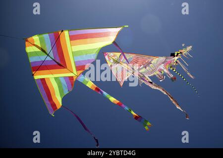 Documentazione fotografica della serie di acari colorati che volano nel cielo blu Foto Stock