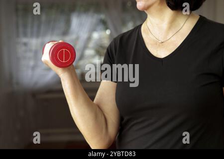 La donna si allena a casa Foto Stock