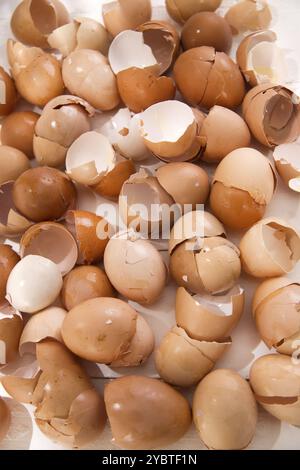 Serie di gusci rotti di uova di pollo su tavola di legno bianco Foto Stock