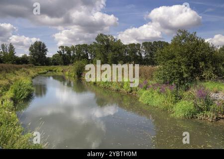 Vista sul fiume Dijle vicino alla città olandese Mechelen Foto Stock