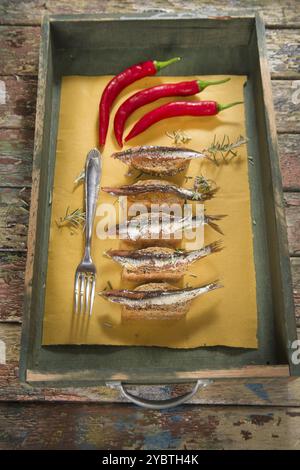 Presentazione di uno spuntino a base di acciughe al peperoncino e pane integrale Foto Stock