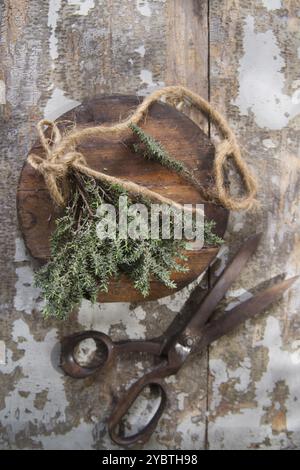 Prodotto del giardino, mazzo di timo essenziale per la cucina mediterranea Foto Stock