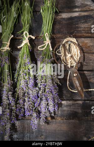 Piccoli grappoli di fiori di lavanda presentato sul legno scuro dello sfondo Foto Stock