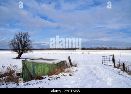 Capannone e albero solitario in un paesaggio innevato vicino al villaggio olandese Werkendam Foto Stock