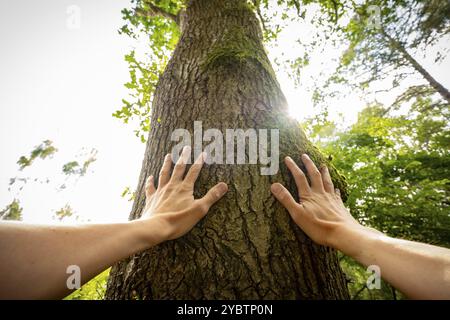 Prospettiva personale di un uomo che tocca un albero Foto Stock