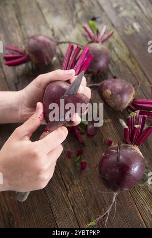 Presentazione di foto del momento quando si Pelare le barbabietole Foto Stock