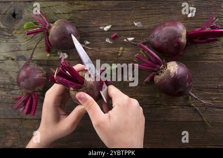 Presentazione di foto del momento quando si Pelare le barbabietole Foto Stock