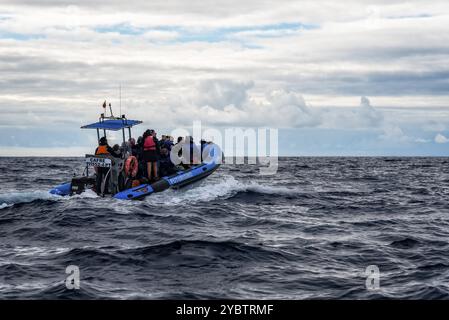 Ponta Delgada, Portogallo, 6 luglio 2022: Barca di avvistamento balene e delfini nell'isola di Sao Miguel, Azzorre, Europa Foto Stock