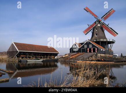 Laminatoio Sawing de Rat in IJlst nella provincia olandese Friesland Foto Stock