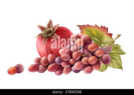 Ramo d'uva nera con foglie verdi e illustrazione isolata con acquerello di melograno. Mazzo di frutta matura realistico Foto Stock