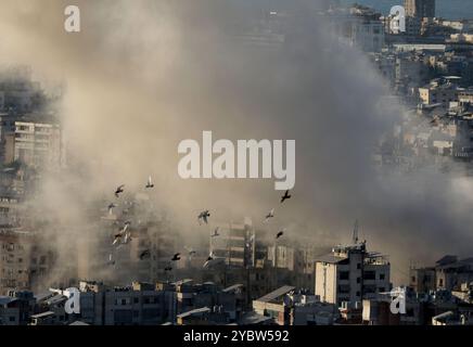 Beirut, Libano. 19 ottobre 2024. Il fumo si diffonde a seguito degli attacchi aerei israeliani nel sobborgo meridionale di Beirut, Libano, 19 ottobre 2024. Il bilancio delle vittime degli attacchi aerei israeliani in Libano dall'inizio del conflitto israelo-Hezbollah ha raggiunto i 2.448, con ferite fino a 11.471, secondo un rapporto di sabato. Crediti: Bilal Jawich/Xinhua/Alamy Live News Foto Stock