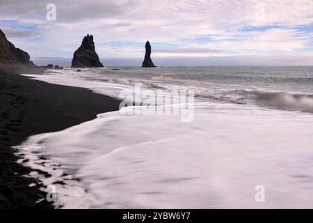 Islanda, regione del Sudurland, Vik, sito di Dyrholaey, spiaggia di sabbia nera di Reynisfjara, aghi di Reynisdrangar Foto Stock