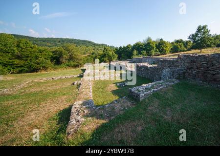 Rovine del monastero di Paolina vicino al villaggio di Pilisszentlek, Ungheria. Il nome ungherese è Palos kolostor romjai Foto Stock