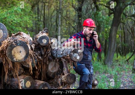 Bell'uomo ingegnere forestale che parla al telefono cellulare accanto a tronchi d'albero impilati nella foresta Foto Stock