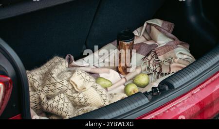 Maglione lavorato a maglia, tre frutti di pera e tazza thermos su coperta a scacchi nel bagagliaio aperto dell'auto. Natura morta autunnale. Picnic su strada. Viaggiare stile di vita momen Foto Stock