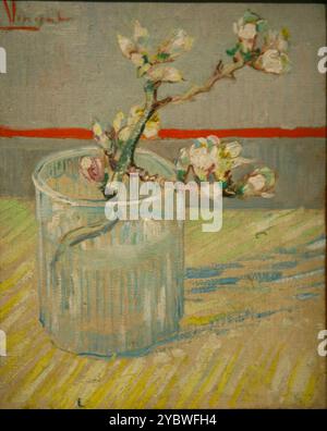 Rametto di mandorla fiorita in un bicchiere 1888 Vincent van Gogh Foto Stock