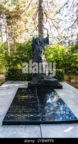 Una foto scattata nella Alley of Honor di Baku. Un luogo commemorativo di importanti persone dell'Azerbaigian. Baku, Azerbaigian. 06.16.2024. Foto Stock