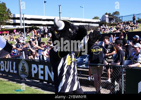 Sydney, Australia. 20 ottobre 2024; Campbelltown Stadium, Sydney, NSW, Australia: A-League Football, MacArthur FC contro Perth Glory; la mascotte del MacArthur FC Arthur accoglie i tifosi Credit: Action Plus Sports Images/Alamy Live News Foto Stock