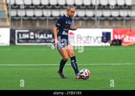 Linkoping, Svezia. 20 ottobre 2024. Bilborsen Arena, Linkoping, Svezia, 20 ottobre 2024: (Peter Sonander/SPP) credito: SPP Sport Press Photo. /Alamy Live News Foto Stock